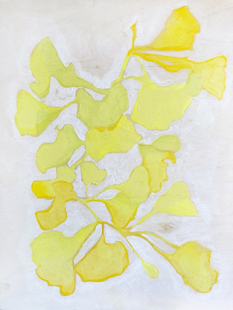 Ginkgo Colour Study