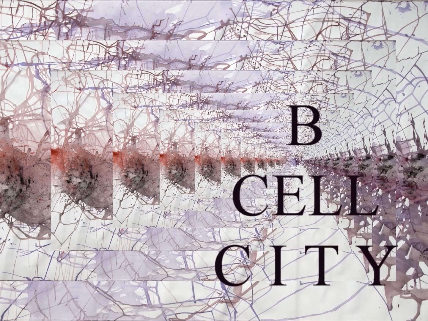 B Cell City