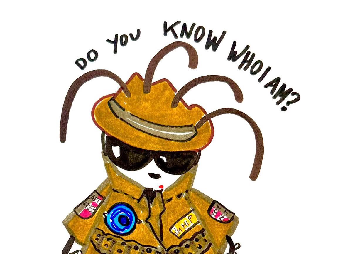 Who Am I by Little Alyaa