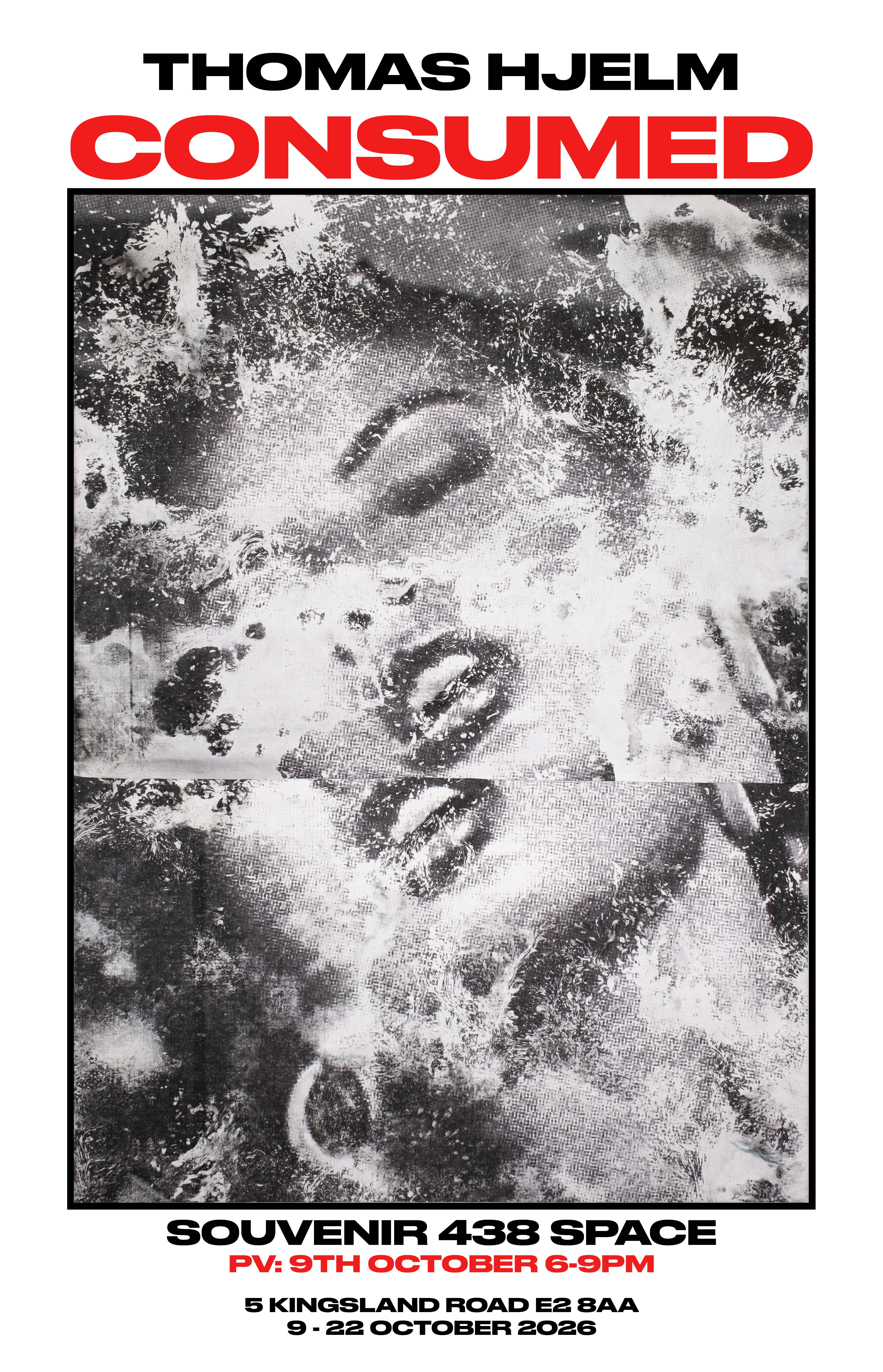 Souvenir438space cover image