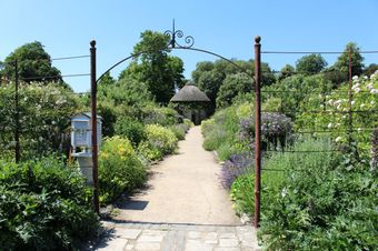 West Dean Gardens